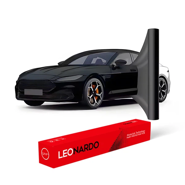 Potential Risks And Limitations Potential Risks And Limitations