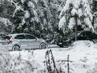 پی پی ایف موسم بہار ، موسم گرما ، موسم خزاں اور سردیوں کے دوران کس طرح کارکرد...